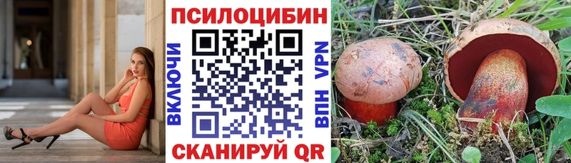 кракен сайт  Дмитровск  маркетплейс телеграм  Псилоцибиновые грибы прущие грибы 
