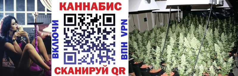 Бошки марихуана план Дмитровск